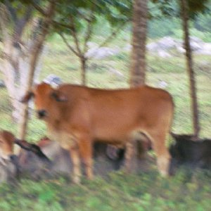 /Albums/19/Pr03921052299