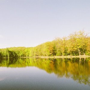 /Albums/2/107842 R1 01 29a