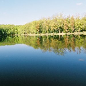 /Albums/2/107842 R1 03 27a