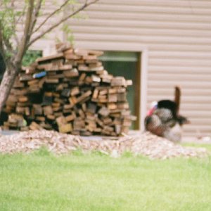 /Albums/2/107842 R1 11 19a