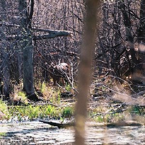 /Albums/2/107842 R1 16 14a