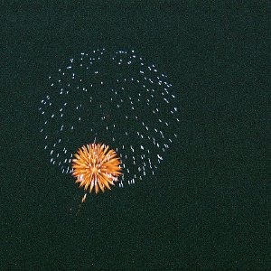 /Albums/3/993098 R1 25 12a