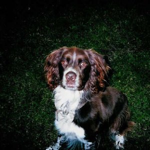 /Albums/4/Crazy Lewis