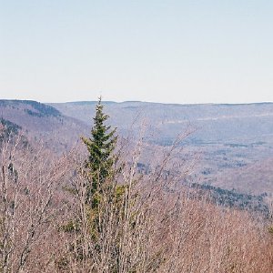 /Albums/7/43580 R1 05 19a 006