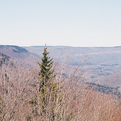 Pictures from Trips with Greg