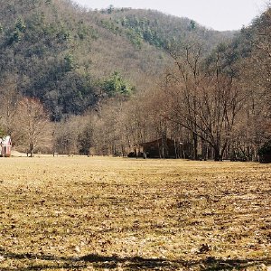 /Albums/7/43580 R1 11 13a 012