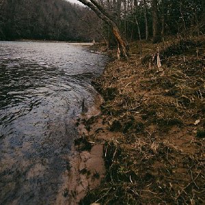 /Albums/7/43580 R1 14 10a 015