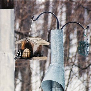 /Albums/7/43580 R1 18 6a 019