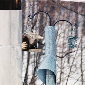 /Albums/7/43580 R1 19 5a 020