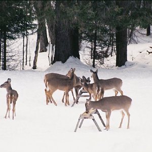 /Albums/7/43580 R1 22 2a 023