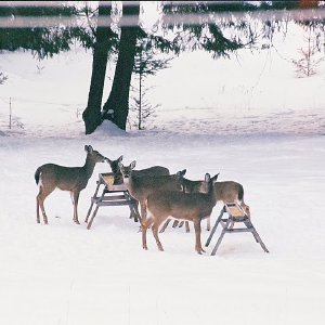 /Albums/7/43580 R1 23 1a 024