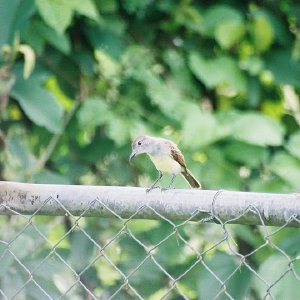 /Albums/8/107600 R1 21 22