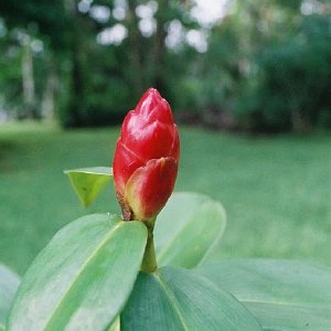 /Albums/8/107600 R1 27 28