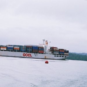 /Albums/8/107600 R1 32 33