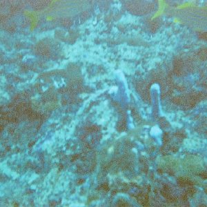 /Albums/8/993099 R1 00 19