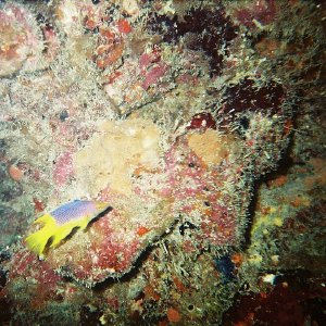 /Albums/8/993099 R1 13 6