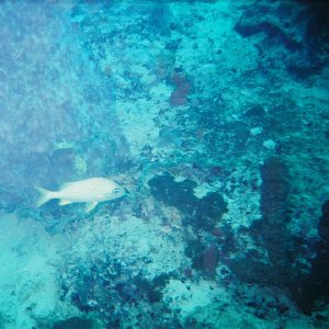 /Albums/8/993099 R1 15 4