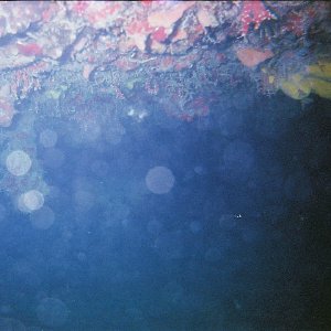 /Albums/8/993099 R1 19 00