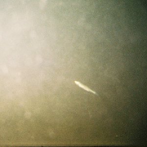 /Albums/8/993433 R1 08 9a