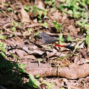 /Albums/8/993433 R2 09 9a