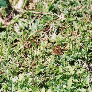 /Albums/8/993433 R2 10 10a