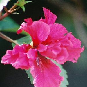 /Albums/8/993433 R2 16 16a