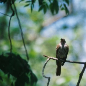 /Albums/8/993433 R2 18 18a