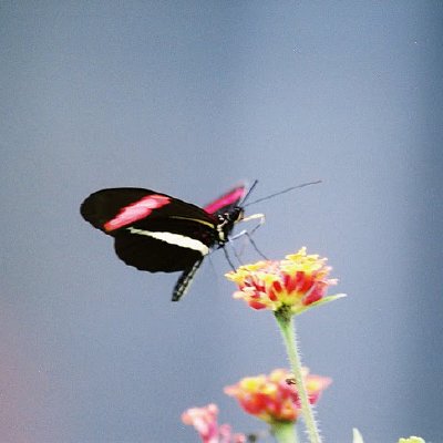 Jason's Trips - Album 1