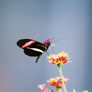 /Albums/8/993433 R2 27 27a