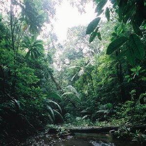 /Albums/9/449951 R1 00 36a 001