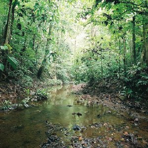 /Albums/9/449951 R1 02 34a 003