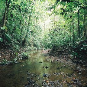 /Albums/9/449951 R1 03 33a 004