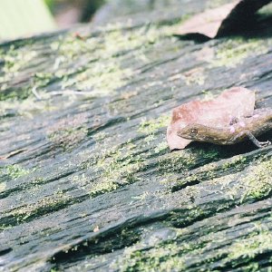 /Albums/9/449951 R1 06 30a 007