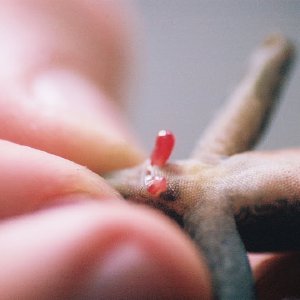 /Albums/9/449951 R1 07 29a 008