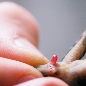 /Albums/9/449951 R1 08 28a 009