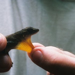 /Albums/9/449951 R1 09 27a 010