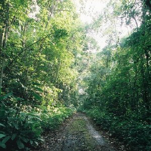 /Albums/9/449951 R1 14 22a 015