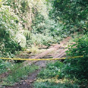 /Albums/9/449951 R1 15 21a 016