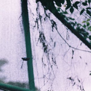 /Albums/9/993433 R3 28 28a