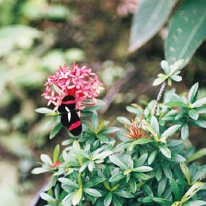 /Albums/9/993433 R3 29 29a