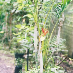 /Albums/9/993433 R3 30 30a