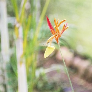 /Albums/9/993433 R3 31 31a