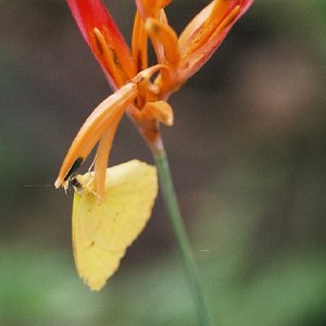 /Albums/9/993433 R3 32 32a