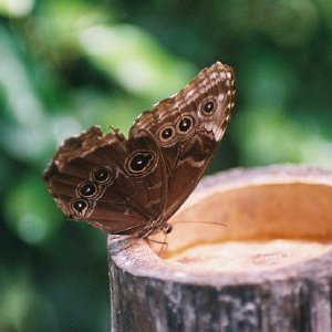 /Albums/9/993433 R3 34 34a