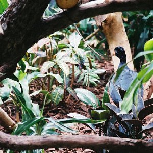 /Albums/9/993433 R4 01 2