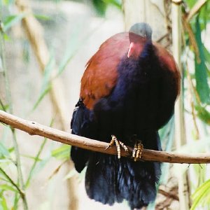 /Albums/9/993433 R4 04 5