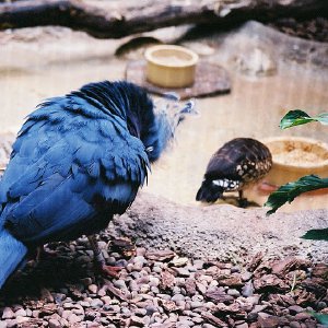 /Albums/9/993433 R4 06 7