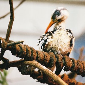 /Albums/9/993433 R4 10 11