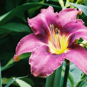 /Albums/9/993433 R4 19 20