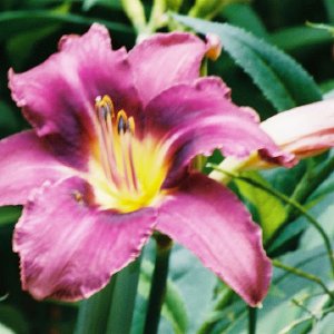 /Albums/9/993433 R4 20 21